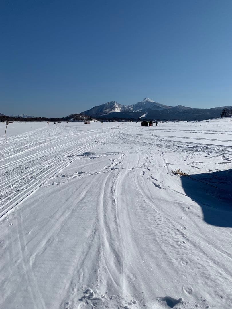 オススメ　氷上ワカサギ釣り　ステンレス穂先　２本　　250ミリ