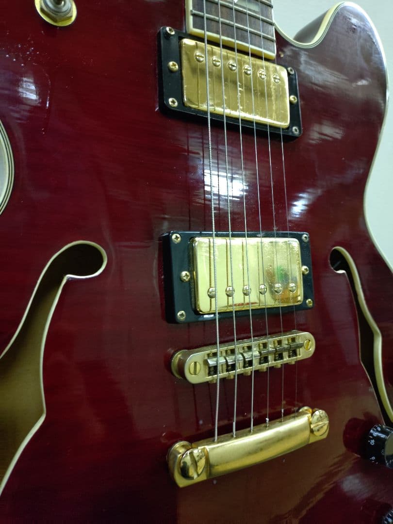 プレイテック SA500 セミアコ