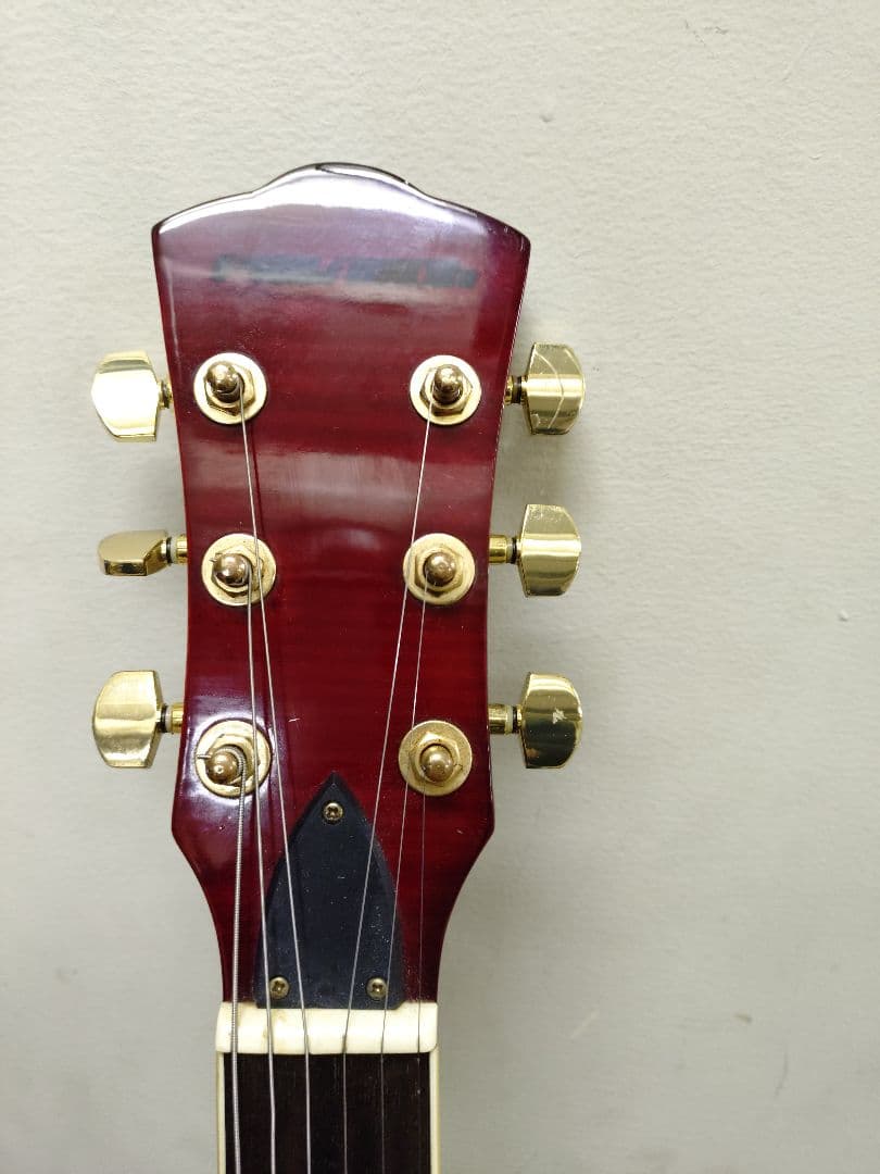 プレイテック SA500 セミアコ