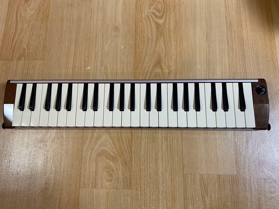 HAMMOND ハモンド PRO-44H 鍵盤ハーモニカ (ケース付き)