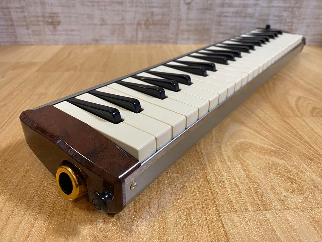 HAMMOND ハモンド PRO-44H 鍵盤ハーモニカ (ケース付き)