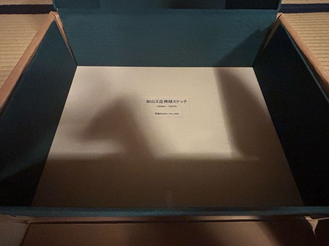 【超希少・値下げ可】加山又造 裸婦スケッチ 作品No.751-No1000