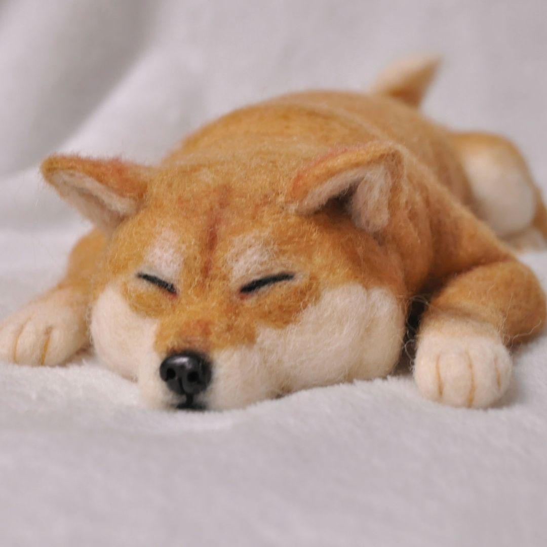 羊毛フェルト♡おねんねする柴犬