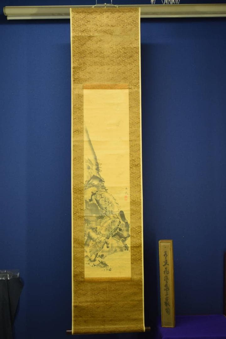 模写/谷文晁/亀図/絹表装/布袋屋掛軸HF-612