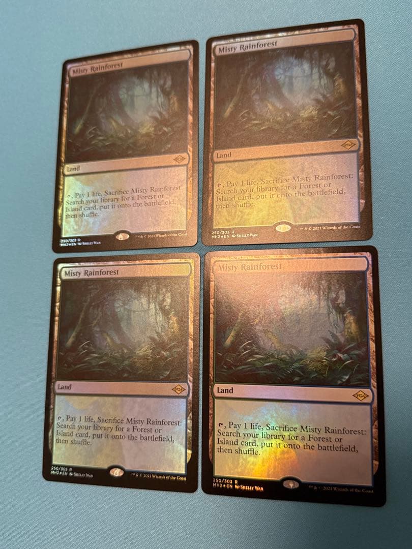 霧深い雨林　英語foil 4枚