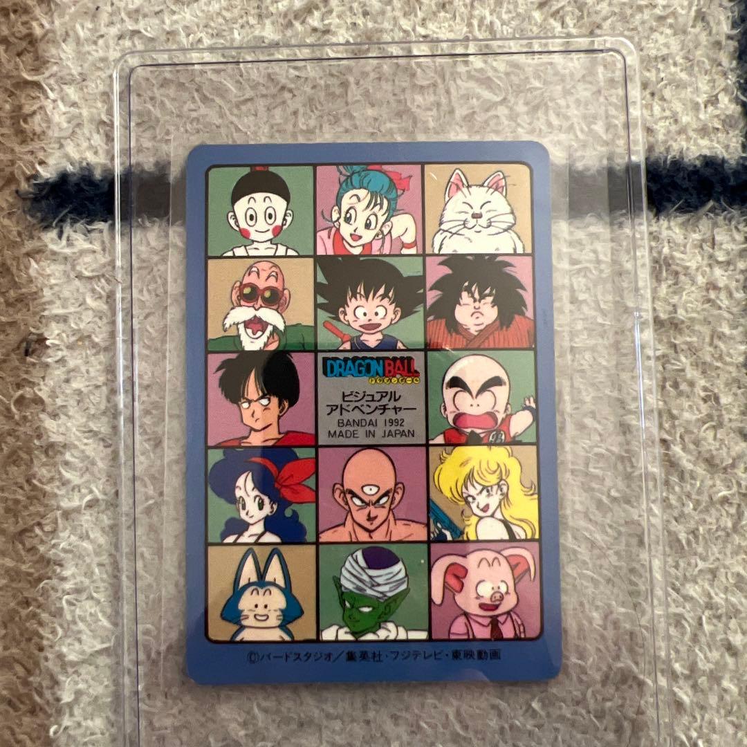 だい様リクエストドラゴンボール ビジュアルアドベンチャー　169 空の休日