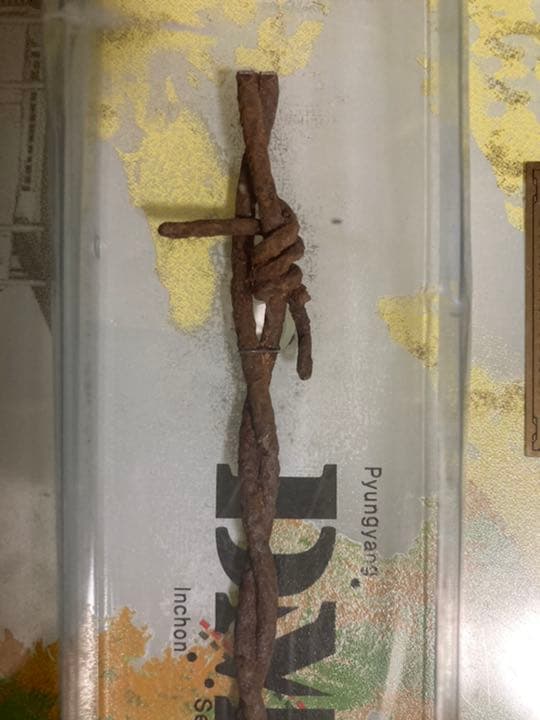 DMZ鉄条網　シリアルナンバー入り