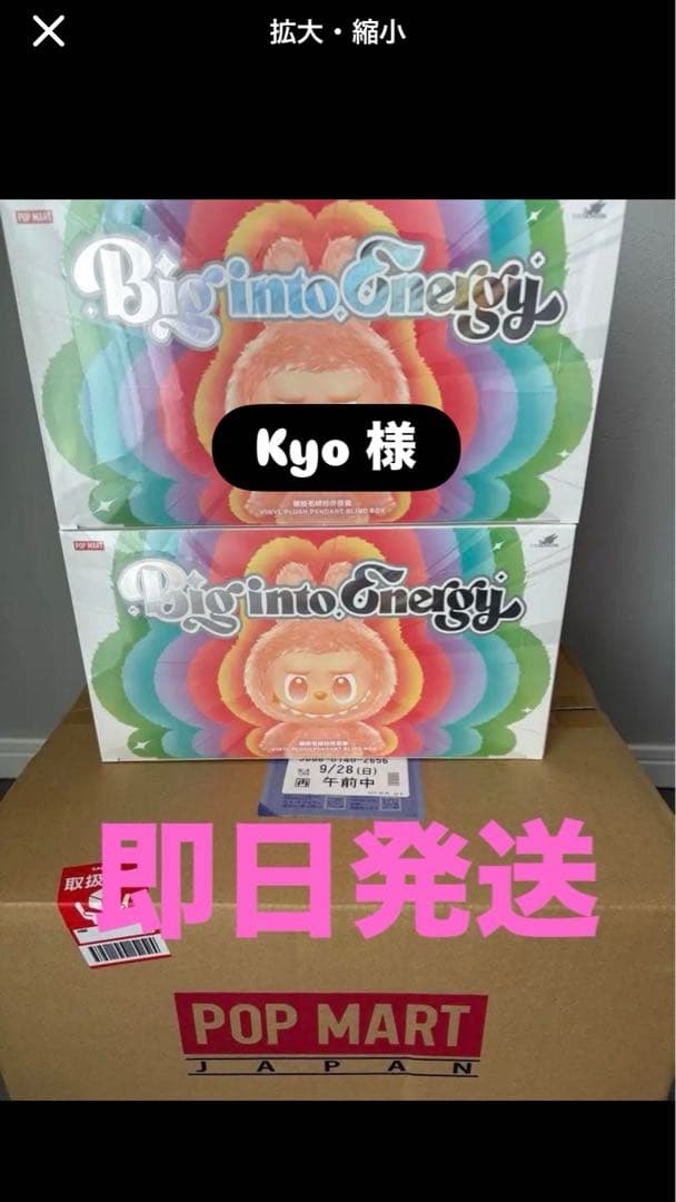 【未開封/正規品】ラブブ Big into Energy アソートボックス