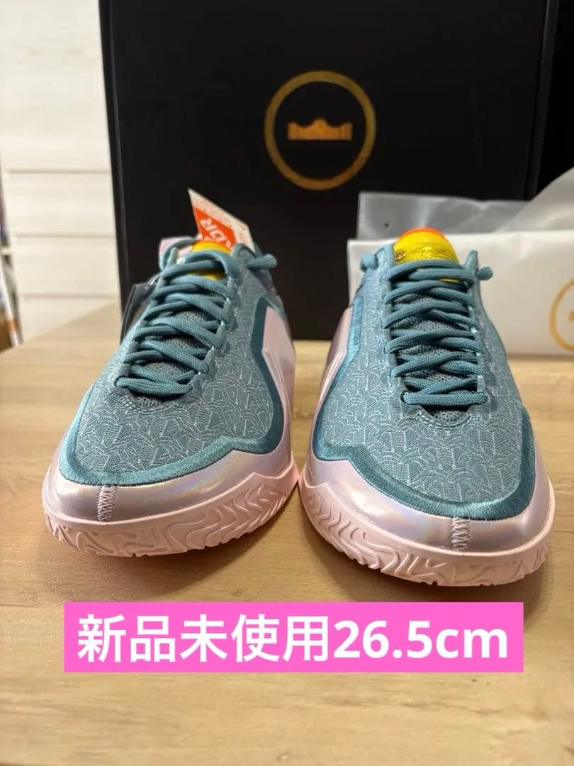 NIKE LeBron 23 Miami 26.5cm レブロン23 マイアミ
