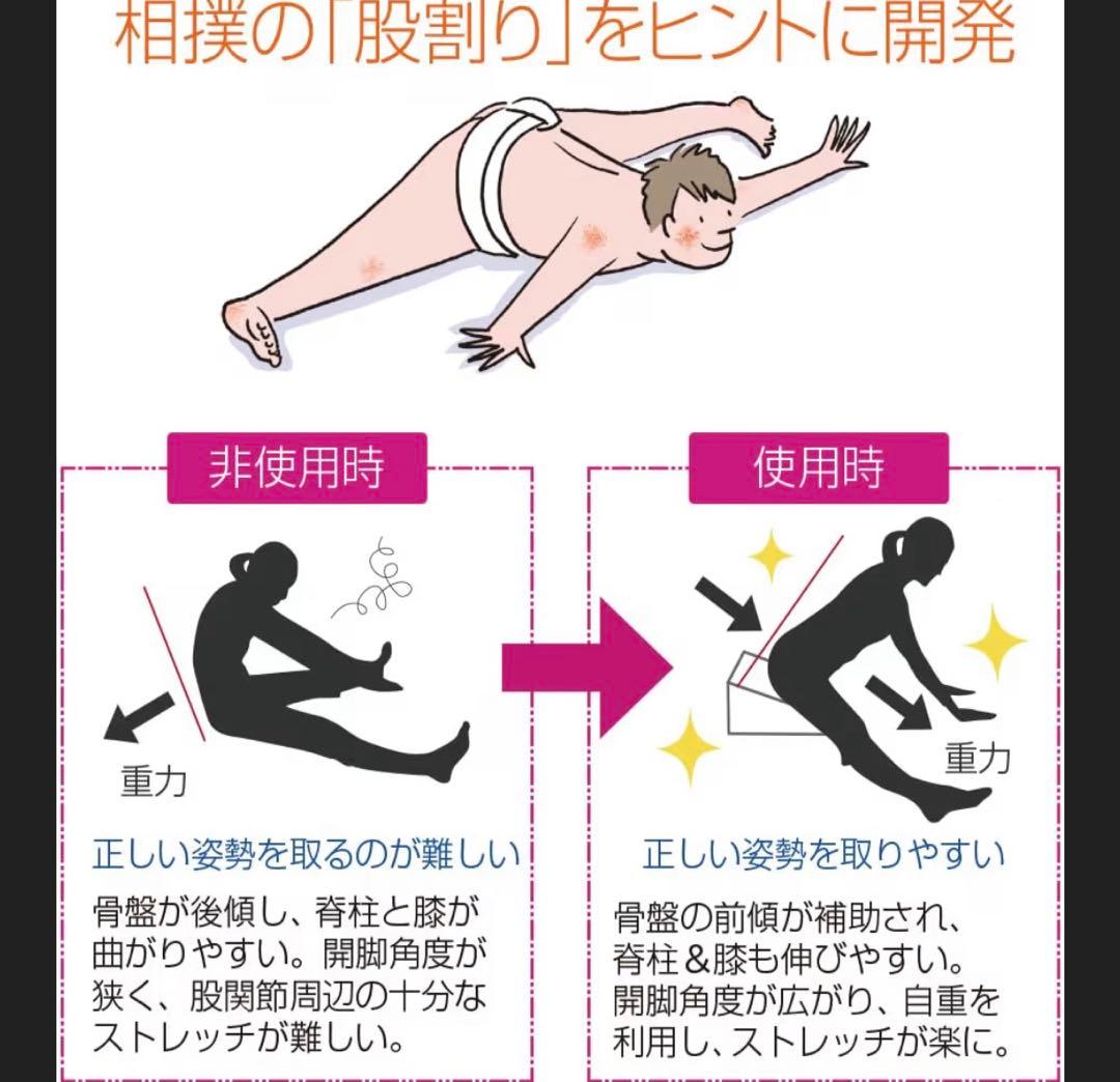 サンテプラス　フレックスクッション