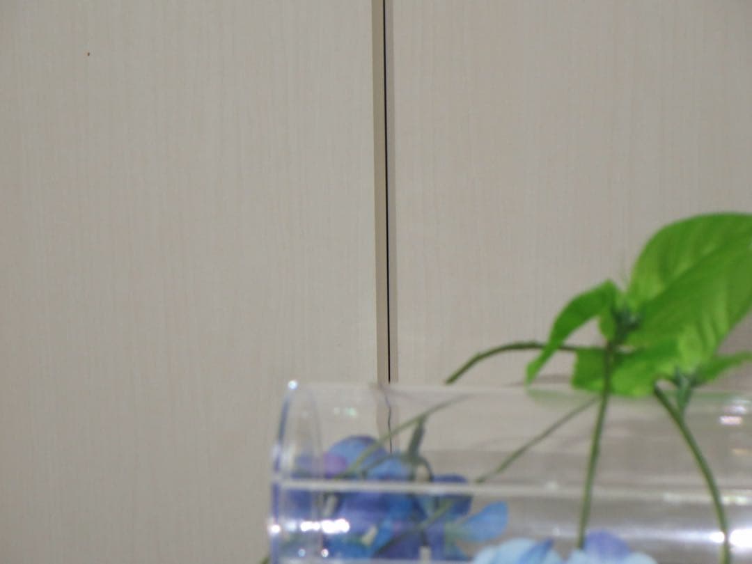 Canon カメラ　IXY 610F PC1897 充電器 コンデジ　動作品