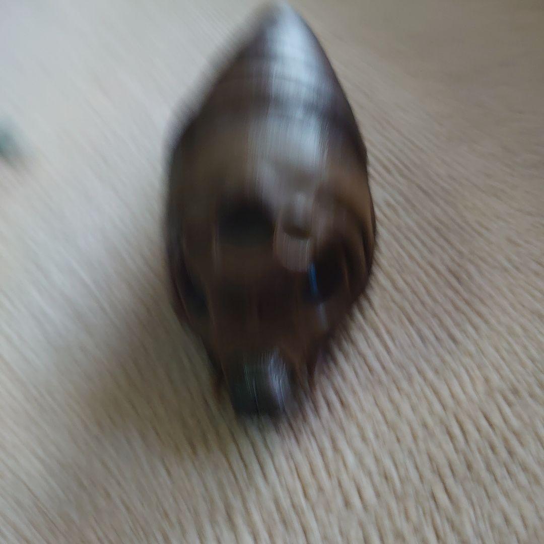 ゴジラシリーズフィギュアセット（モスラ付き）