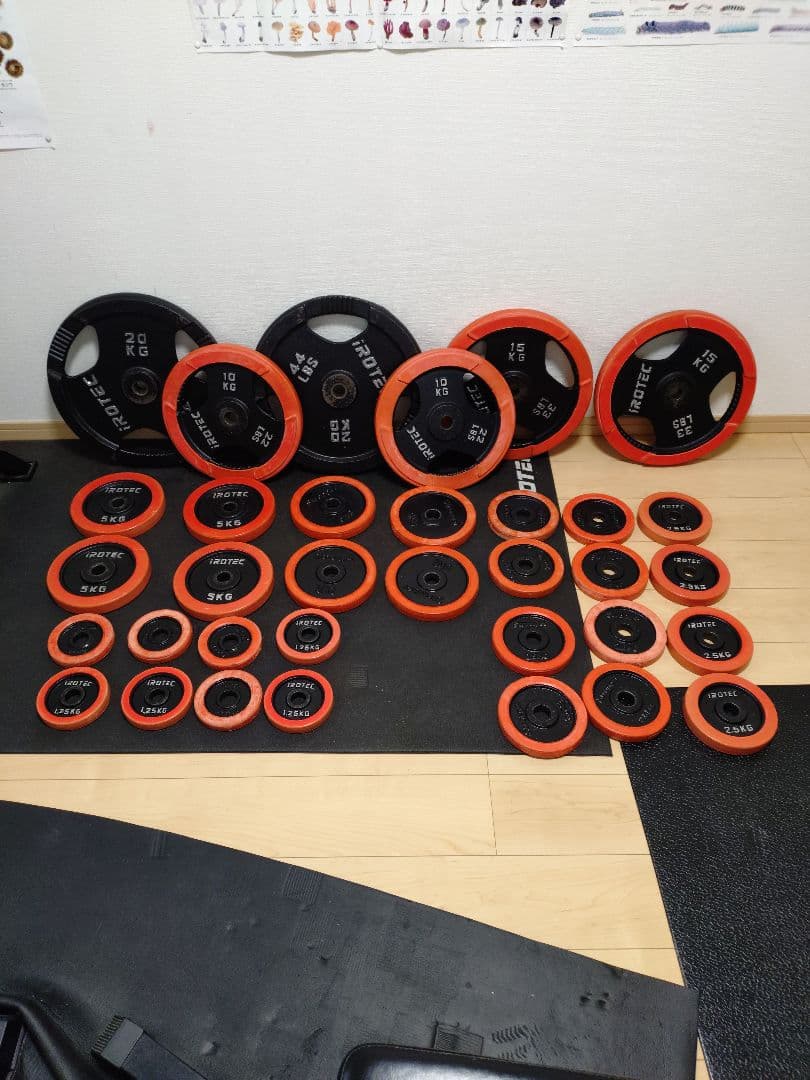 IROTEC アイロテック　ダンベルプレート　シャフト　ベンチ　懸垂スタンド