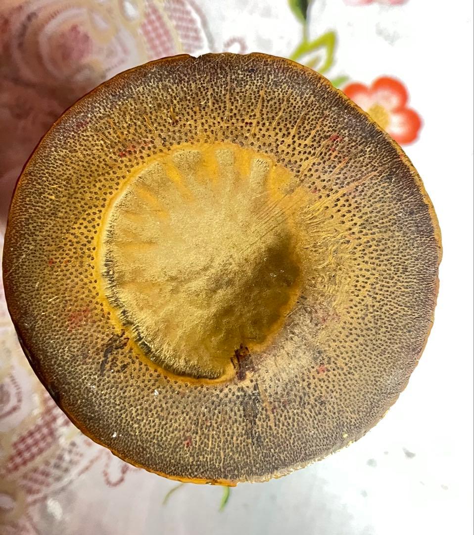 竹製手描き筆筒漢字刻印あり