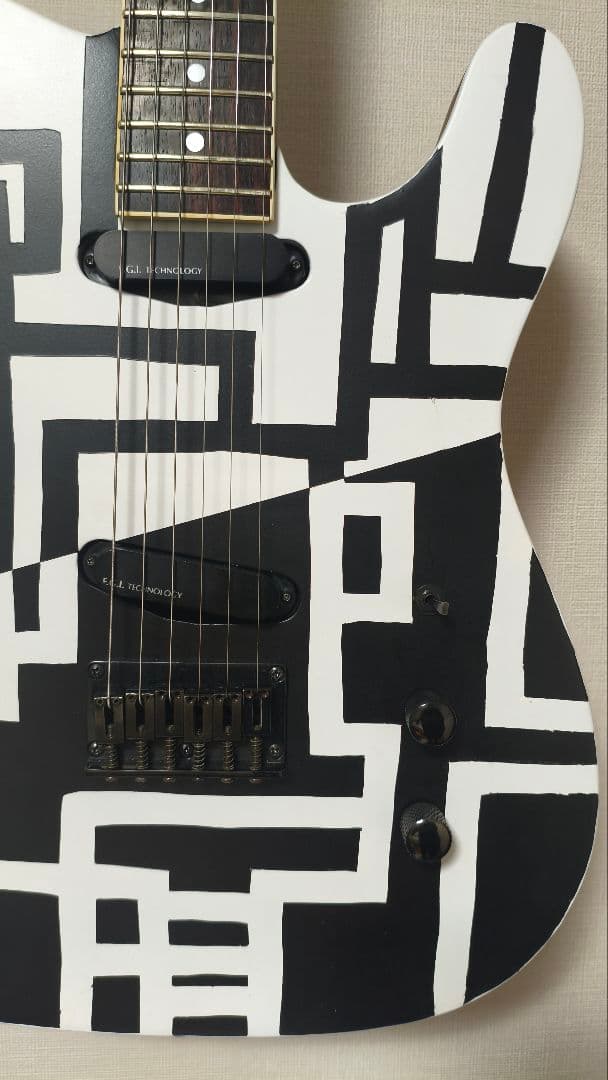 FERNANDES　TEJ70改　G柄　BLACK&WHITE　EMG-SAｘ2