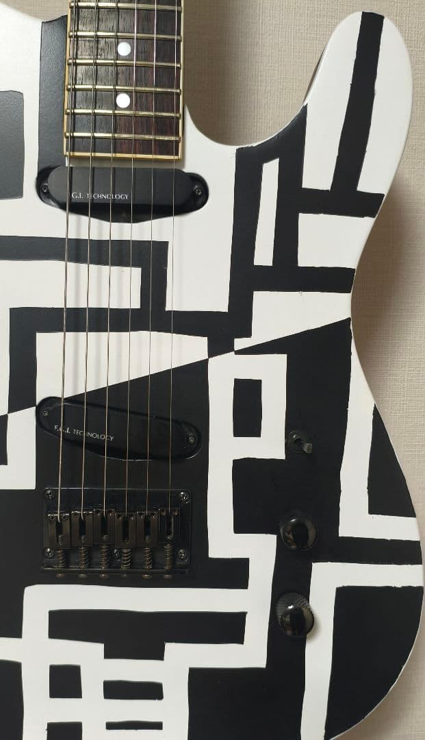 FERNANDES　TEJ70改　G柄　BLACK&WHITE　EMG-SAｘ2