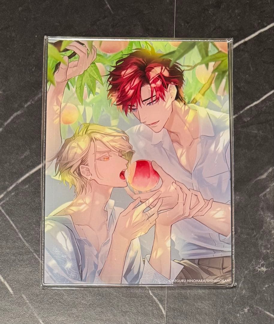 セラピーゲーム アクリルパネル