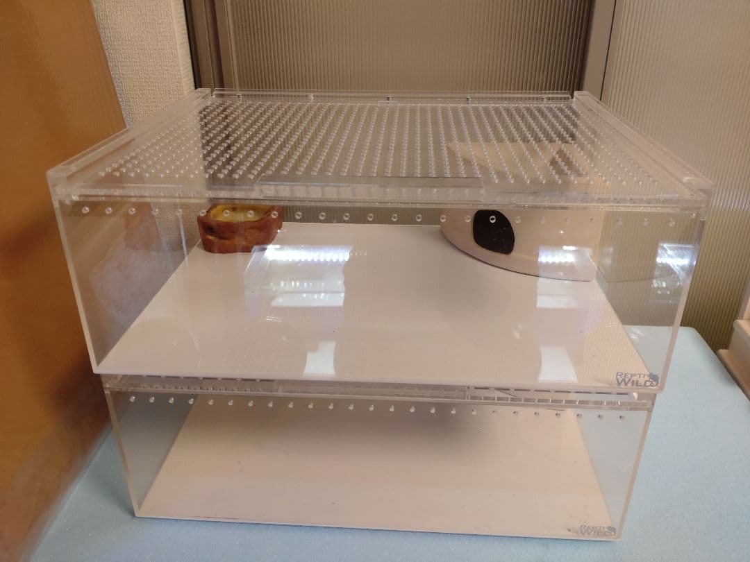 レプタイルボックスワイド 2個セット おまけ付き