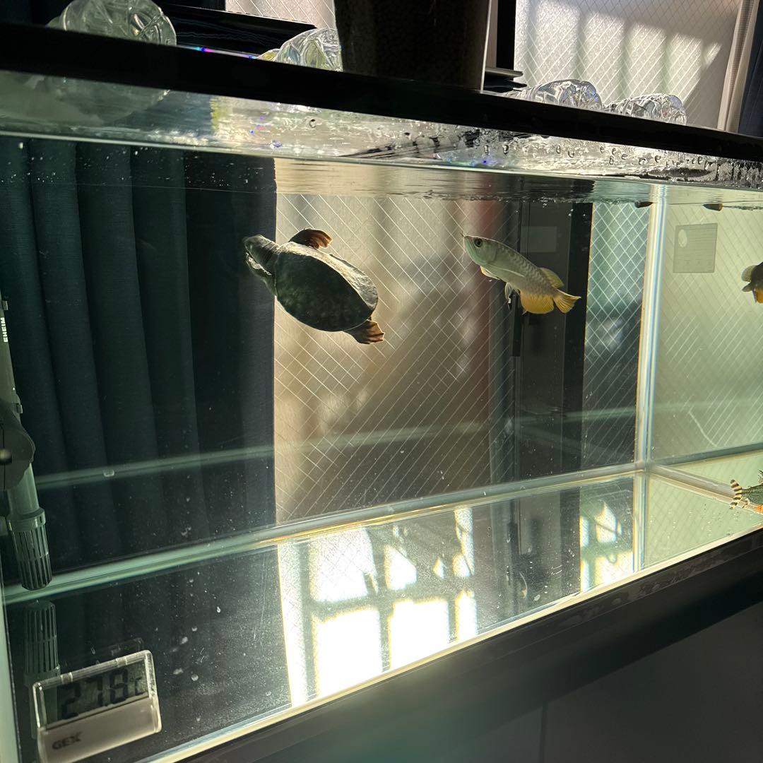 90cm水槽セット 備品込み