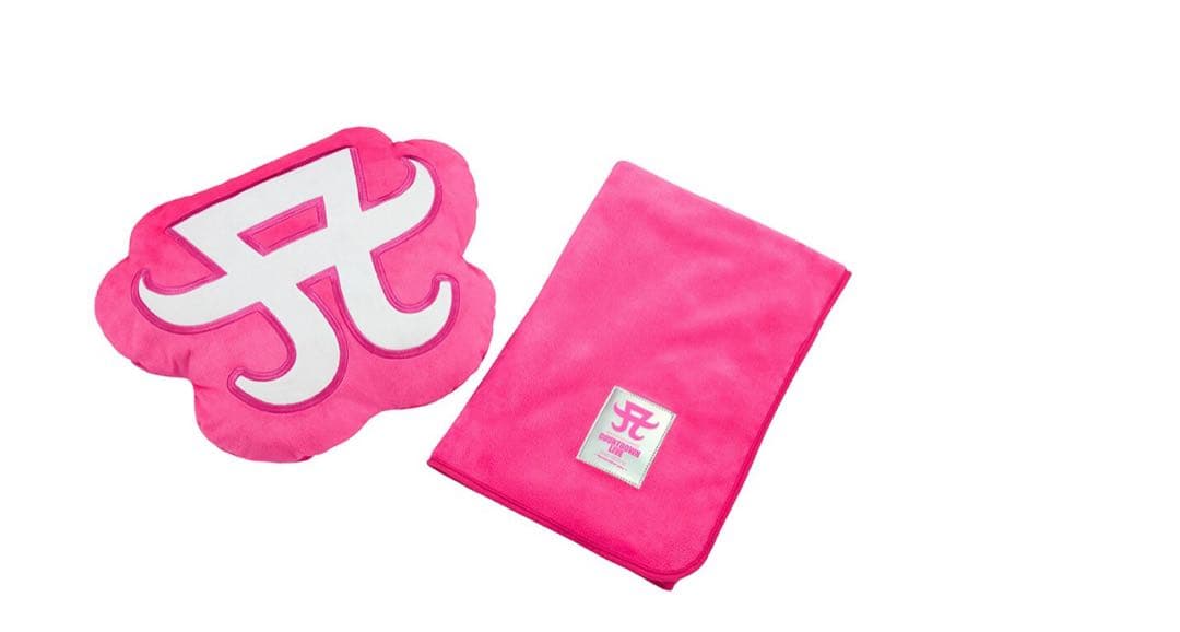 【激レア】浜崎あゆみ クッション in ブランケット