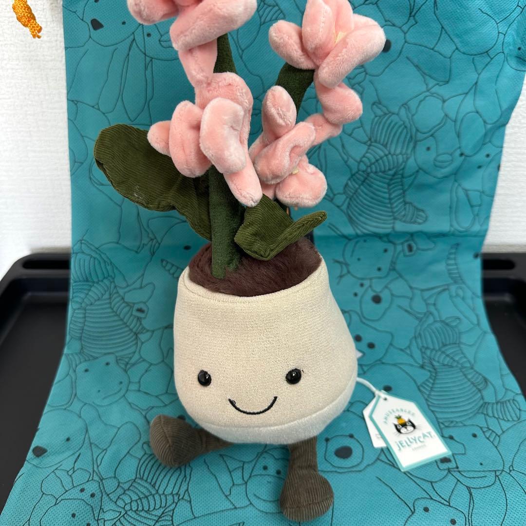 新作　新品　ジェリーキャット　花　蘭　胡蝶蘭　ラン　観葉植物　ぬいぐるみ