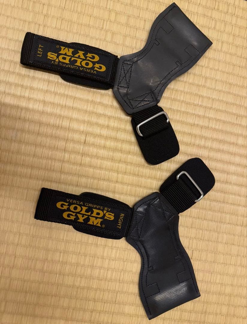 GOLD'S GYM VERSA GRIPS 左右セット