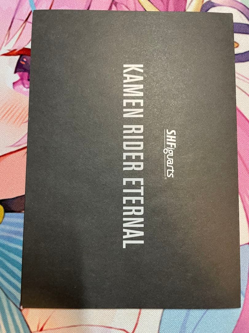 真骨彫 仮面ライダーエターナル