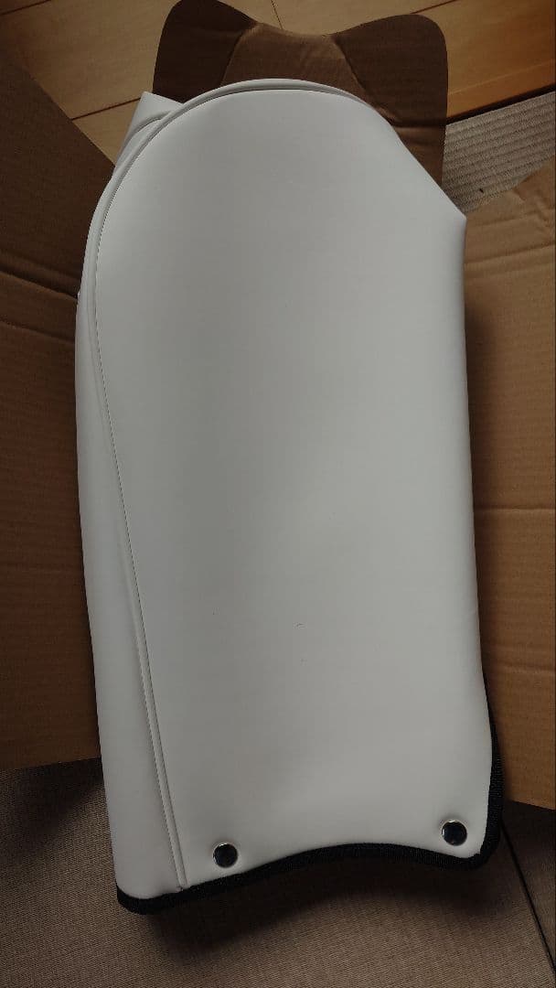 Lexus×MIZUNOキャディバック　 ホワイト　未使用新品