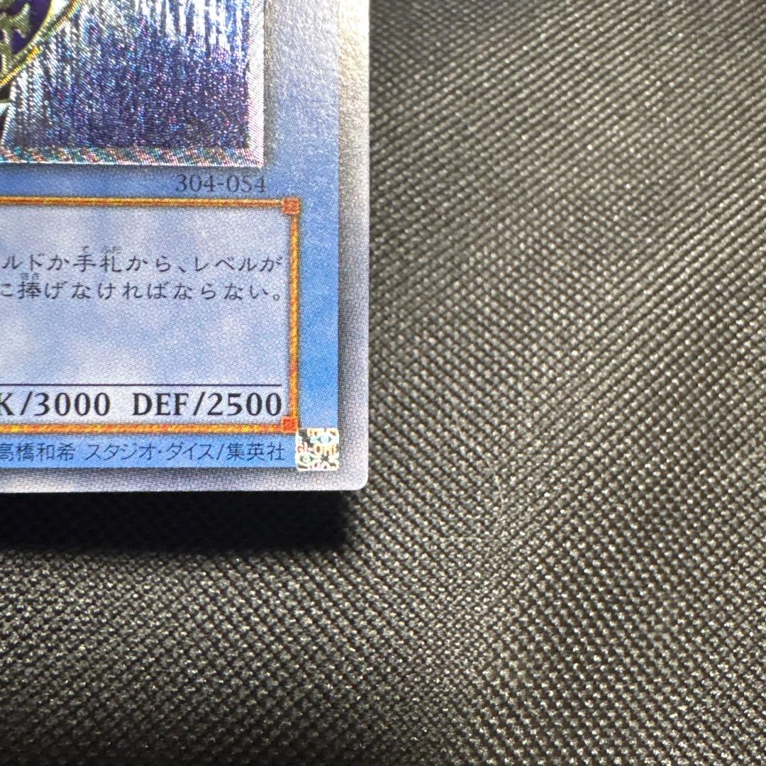 ポポ 遊戯王 カオスソルジャー レリーフ