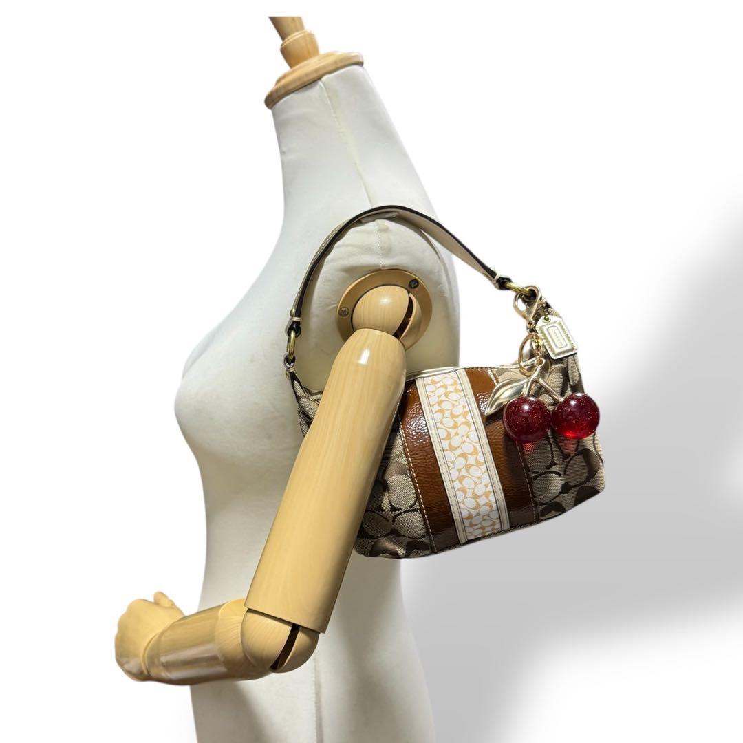 バッグ Coach Y2K Hobo Signature Accessory Pouch