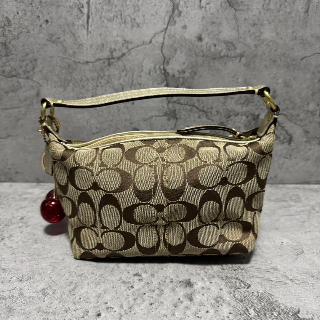 バッグ Coach Y2K Hobo Signature Accessory Pouch