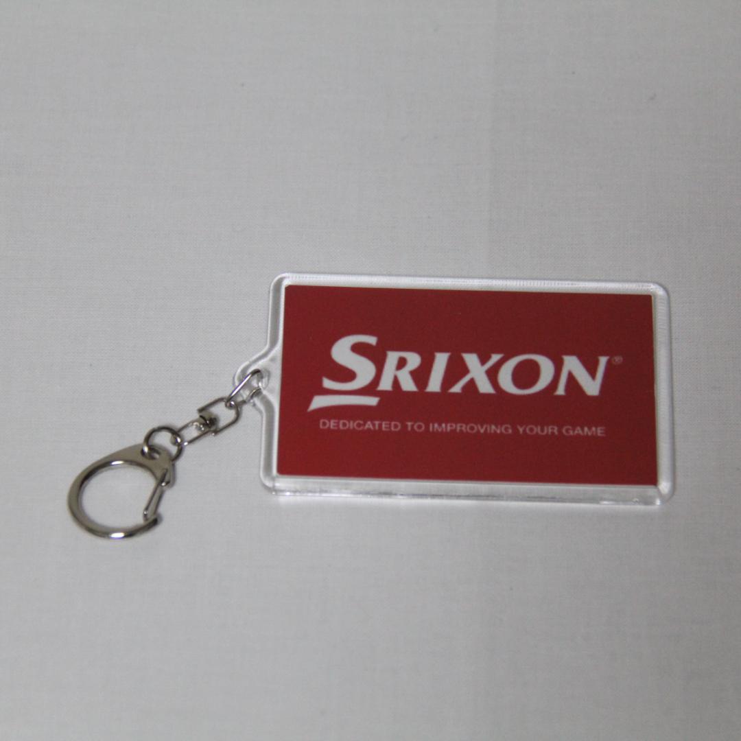 スリクソン キャディーバッグ 10型 GGC-164 スポーツレプリカモデル