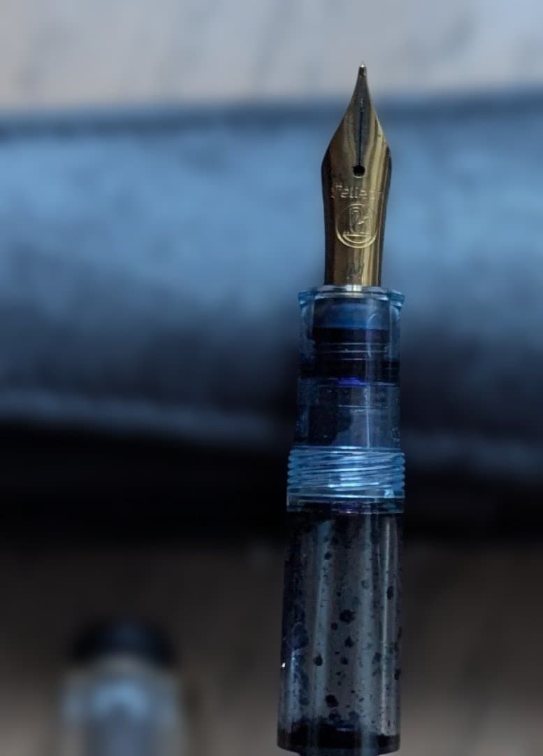 万年筆 透明ボディ 黒ケース付き