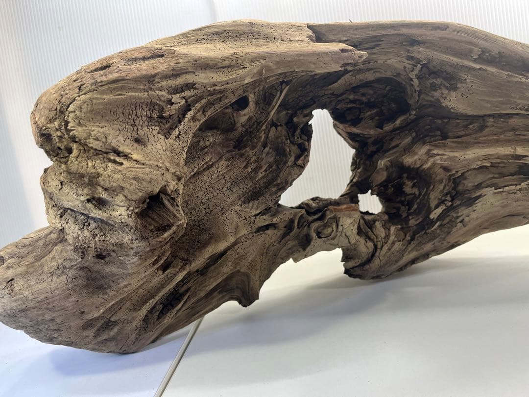 V45特大流木 アク抜き済み流木 爬虫類シェルター 登り木 インテリア 生け花