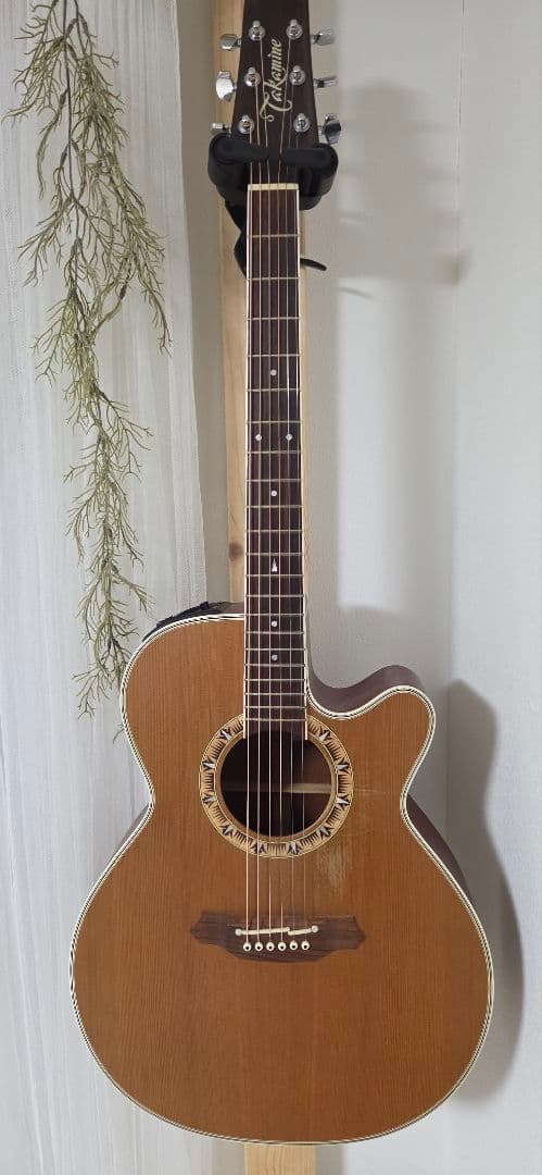 Takamine NPT-510アコースティックギター