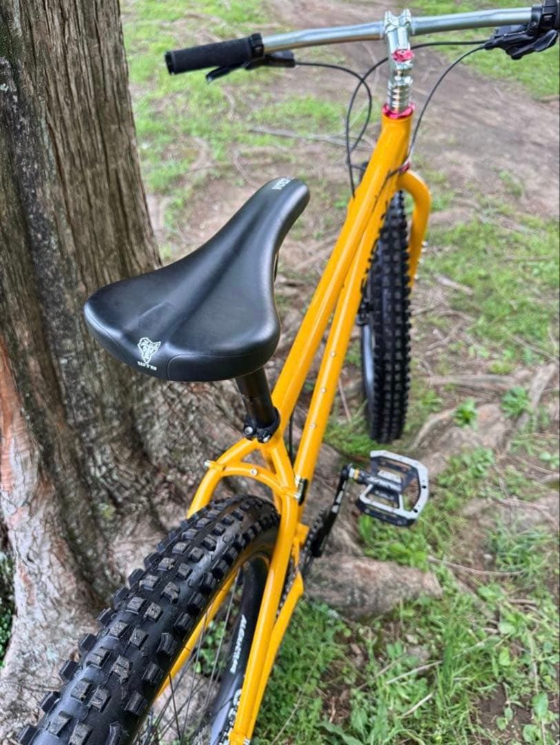 ジャイアントマン様