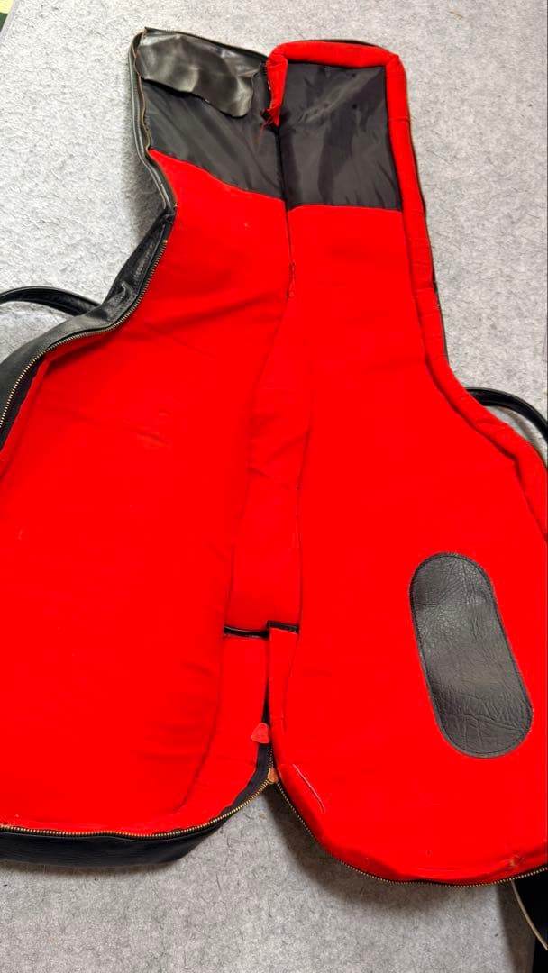 ギター TOM HOLMES THC SemiHollow Standard Block