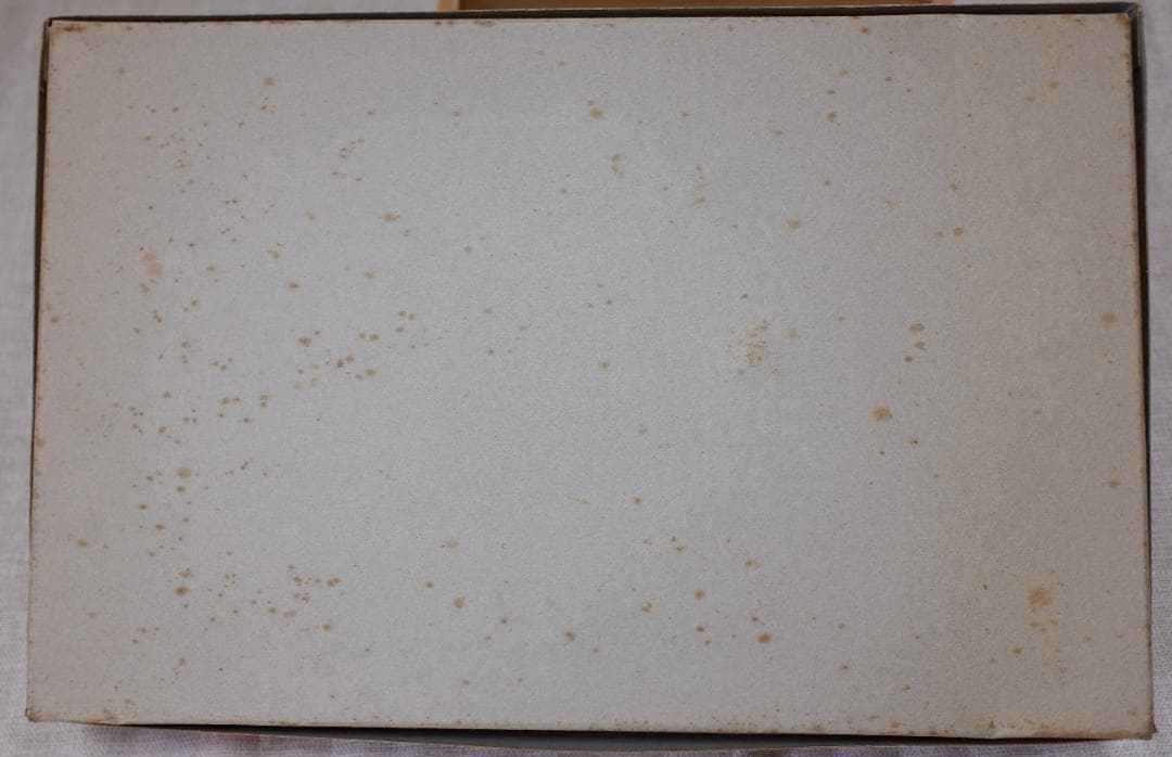 ナガノ 1/20　フェアレディZ432