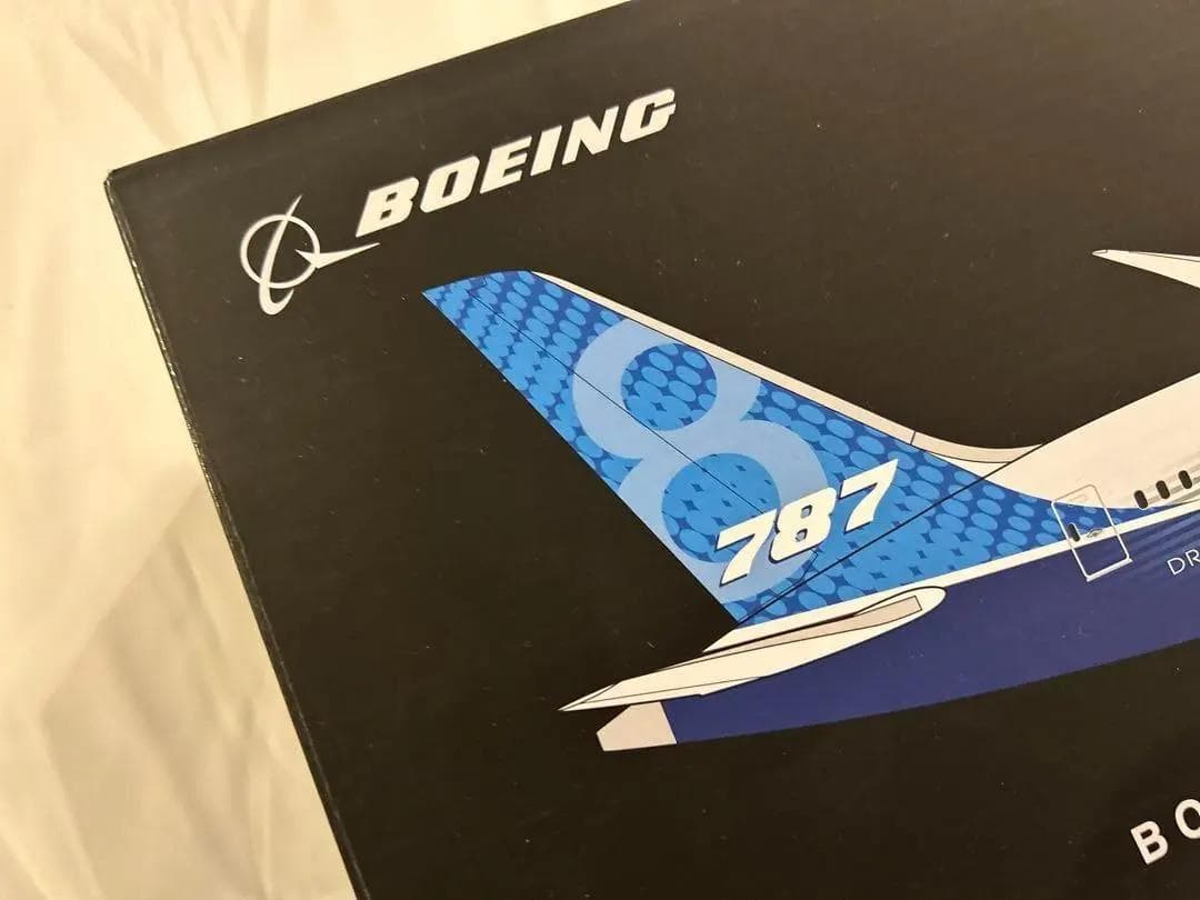 【美品】PACMIN / パックミン｜B787-8 ドリームライナー｜1/144