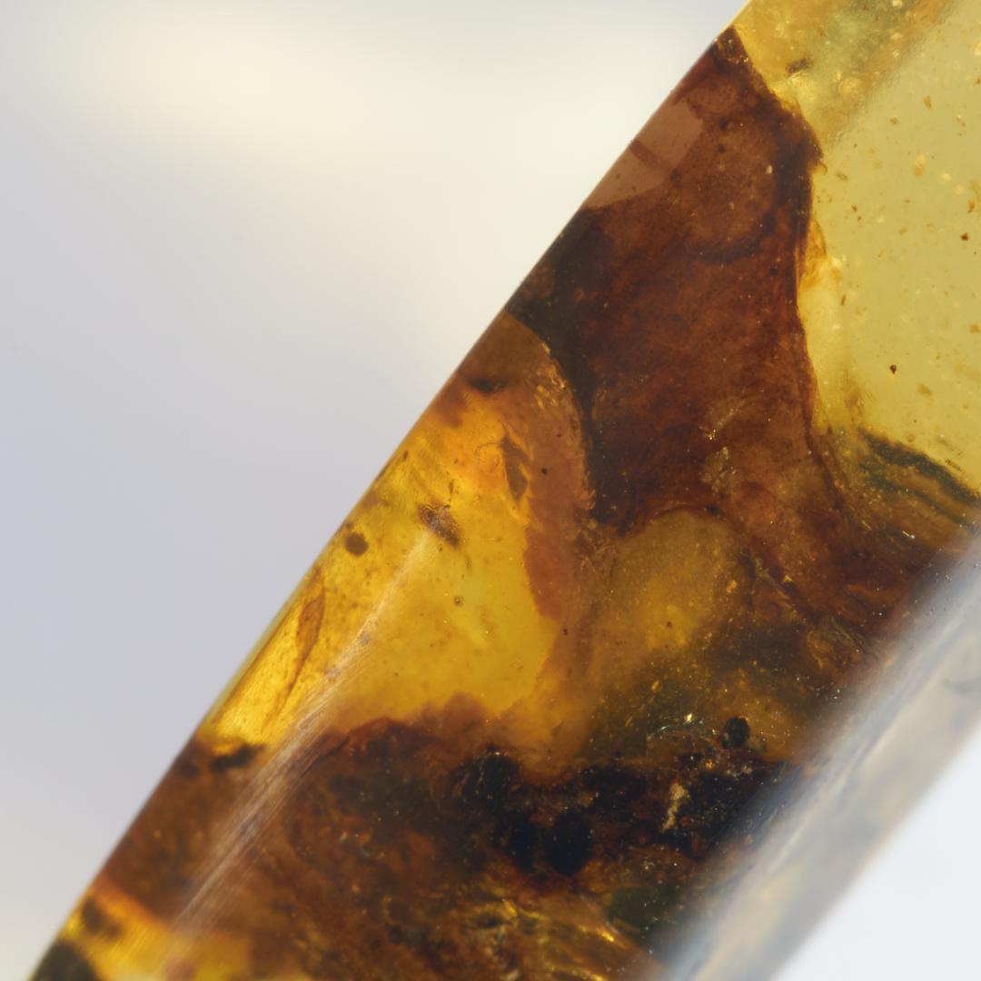 レア極上品 PA166虫入り琥珀化石　ミャンマーカムティかタナイ9900万年前