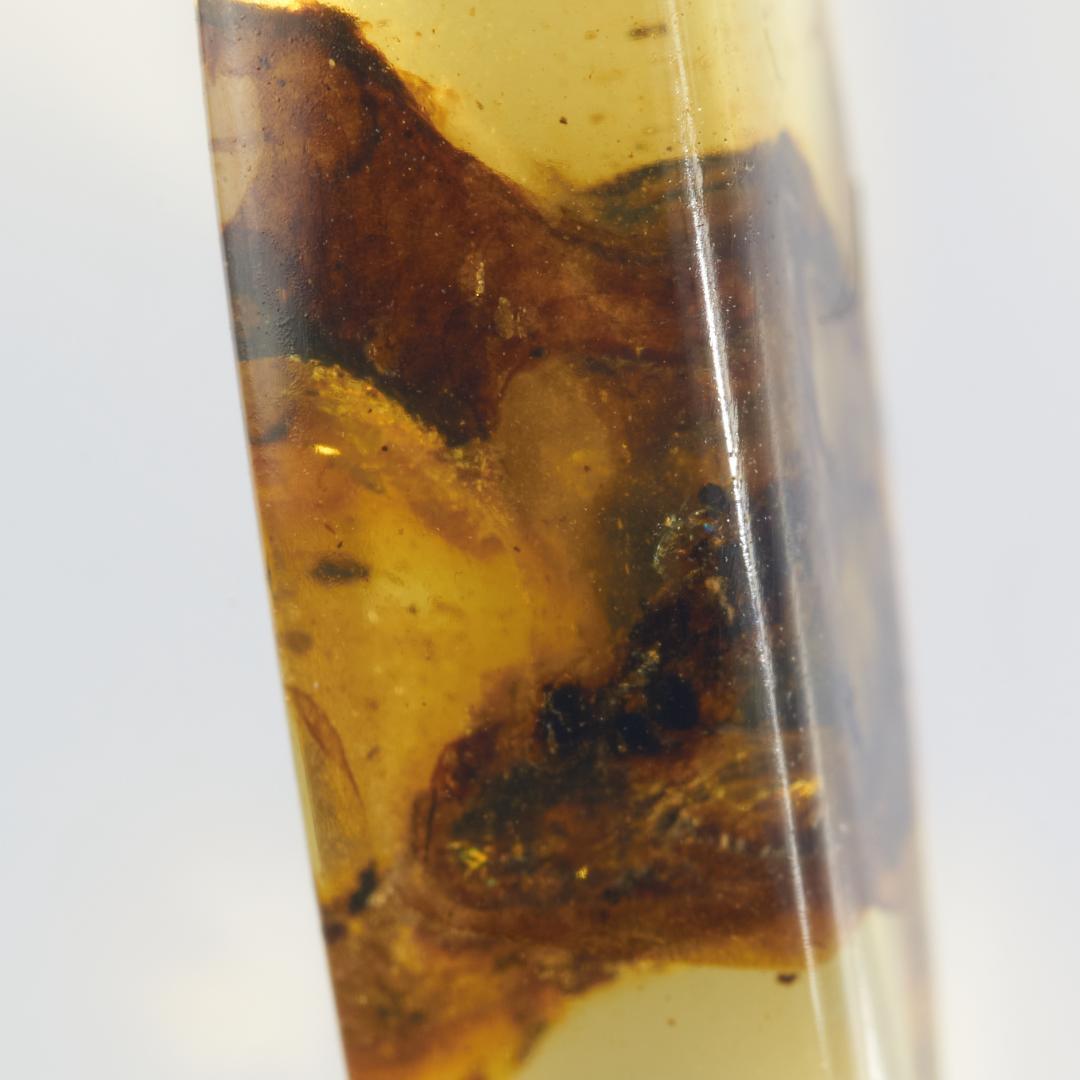 レア極上品 PA166虫入り琥珀化石　ミャンマーカムティかタナイ9900万年前