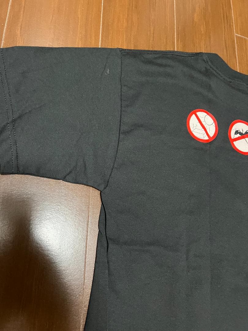 ゼムセルブズ Themselves Tシャツ L ブラック バンドT