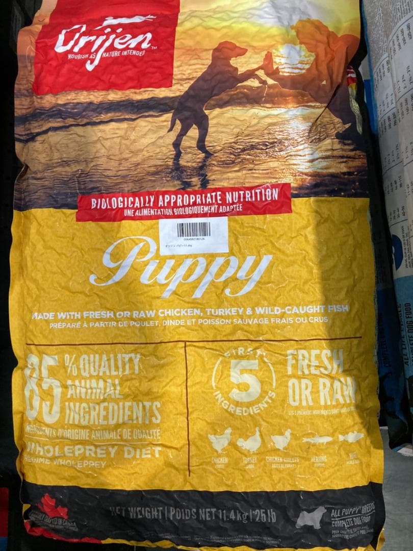 正規品 カナダ産 Orijinオリジン パピー 11.4kg