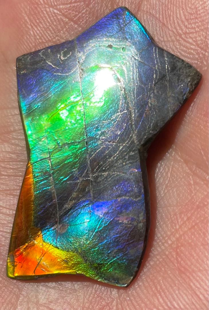 【期間限定セール】虹色星形　アンモライト　インペリアルレインボー　アンモライト