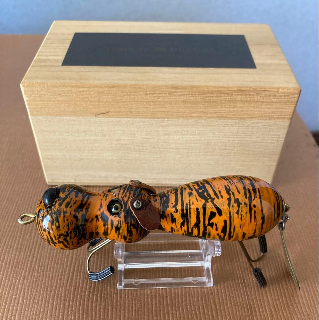 道楽 アナゴイヌ 虎 dowluck 桐箱付き