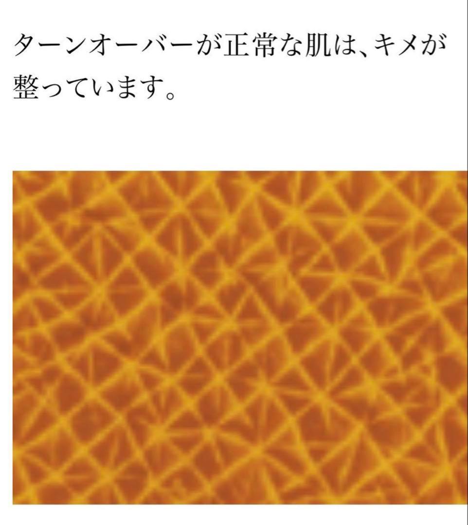 プログラム28＆マキシドールキット【新品】シャンソン化粧品