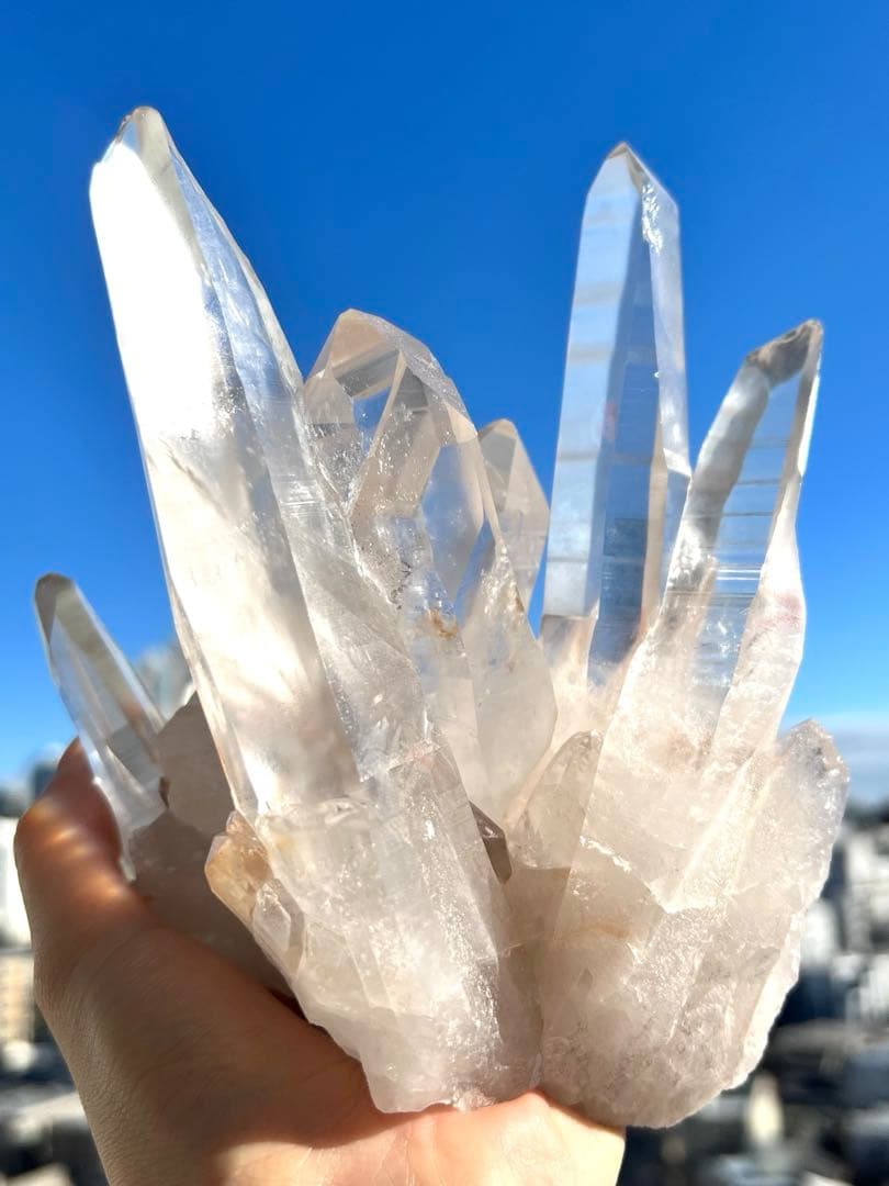 祝正月価格✨美✨希少✨１.１k 初期セラデ産AAAAAAレムリアン ✨光の神殿✨