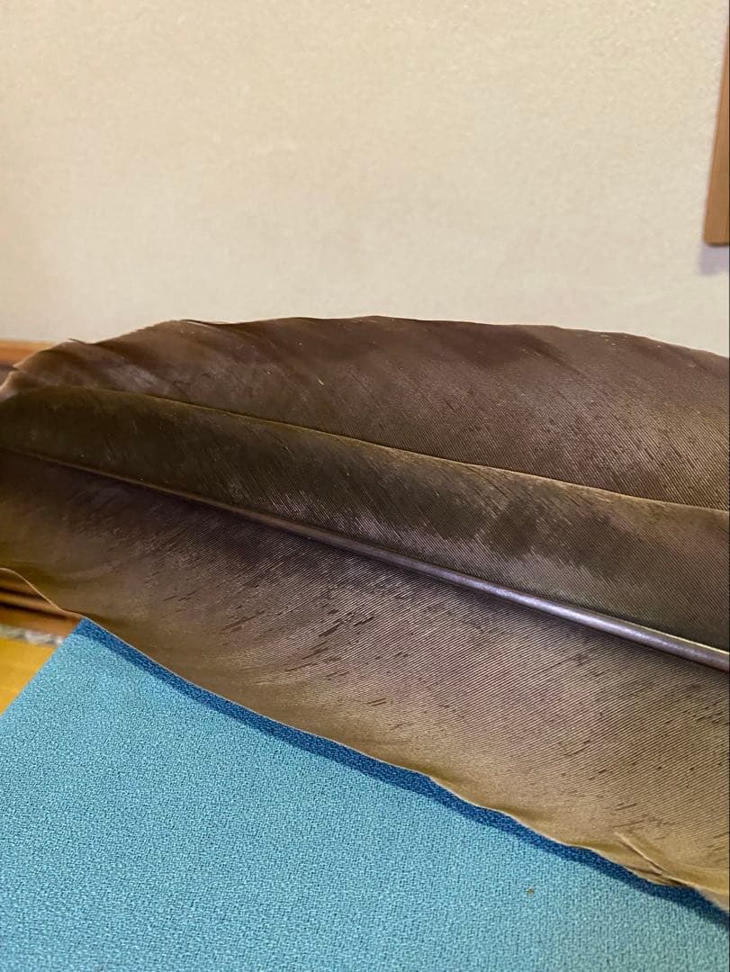 茶道具/座箒 竹皮持手 掴み羽箒 裏千家