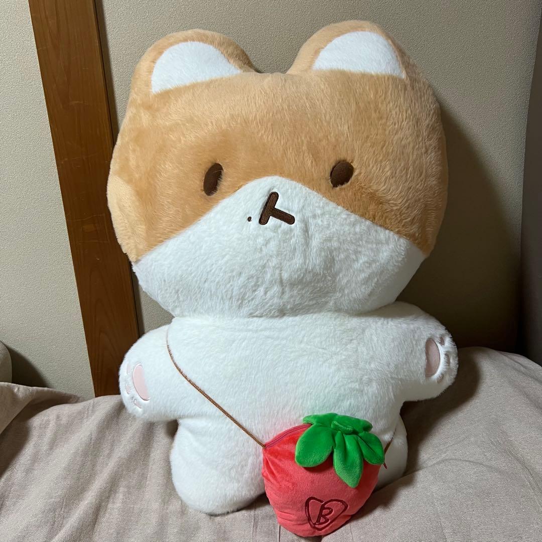 トレギ ベッキョン ぬいぐるみ 80cm