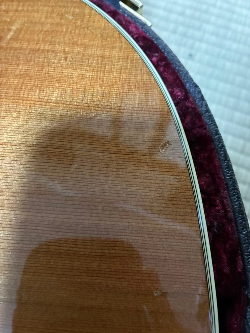 Taylor Guitars アコースティックギター ハードケース付き